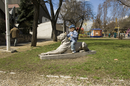 _DSC0126