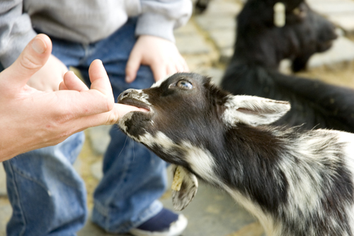 DSC_0020