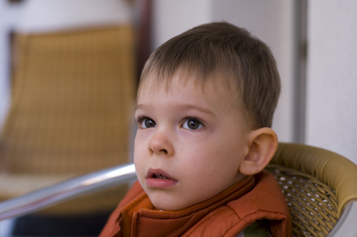 _DSC0002