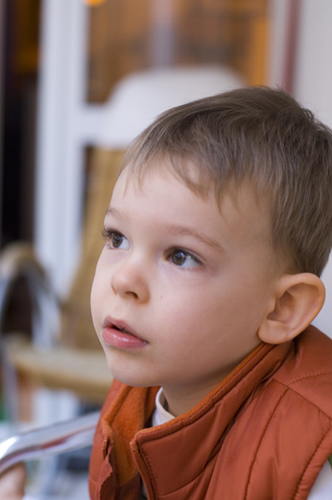 _DSC0024